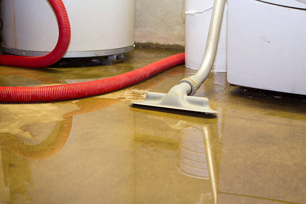 Best Water damage restoration services  in USA